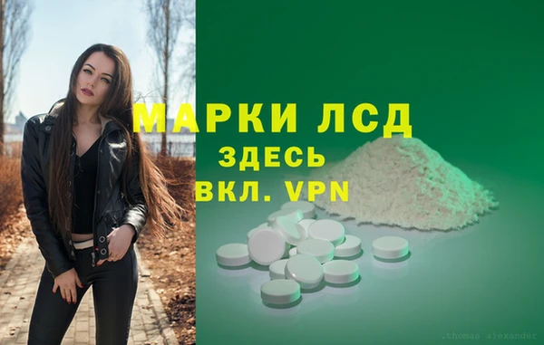 PSILOCYBIN Богородск